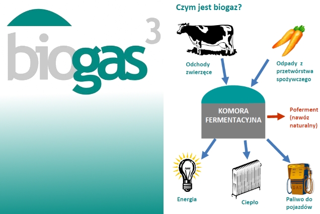 BIOGAS3 - podsumowanie